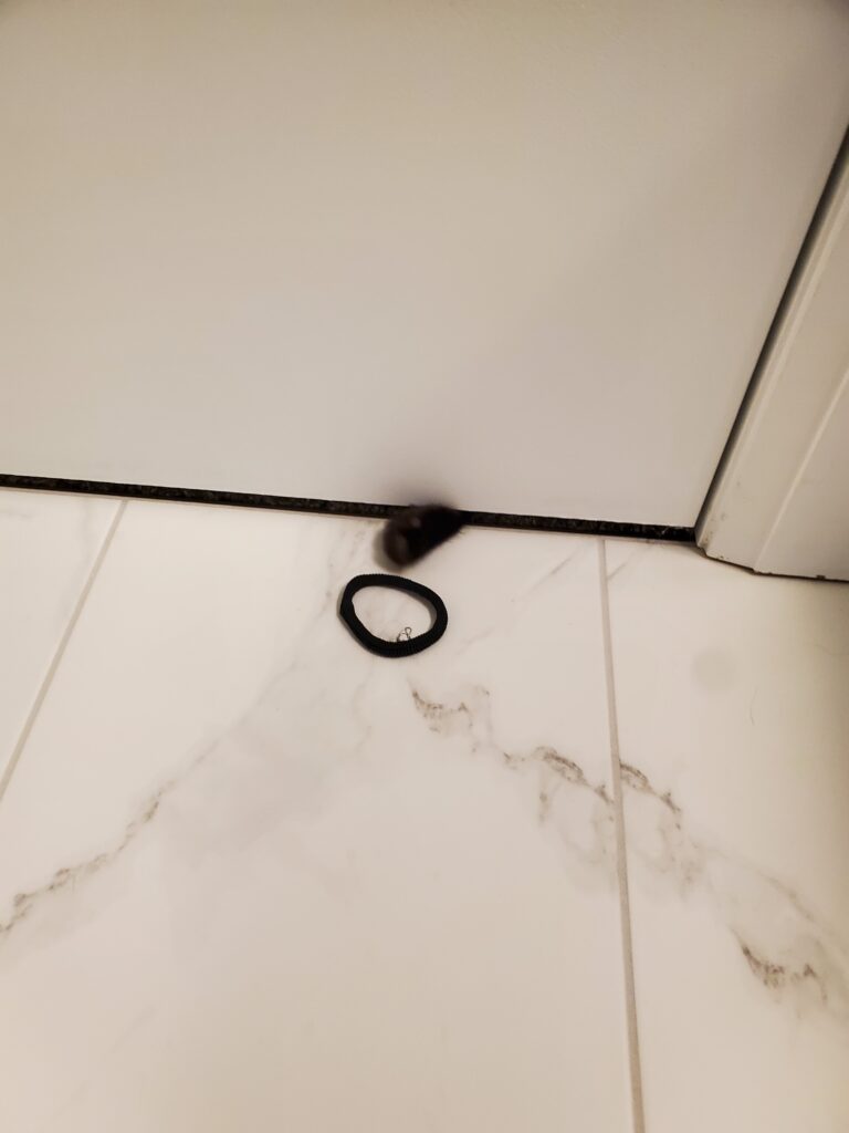 Cuddles' paw under the bathroom door just out of reach of his hair elastic.