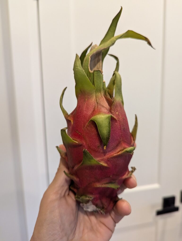 A dragon fruit. It's an oval with pink skin and green spiky leaves. 