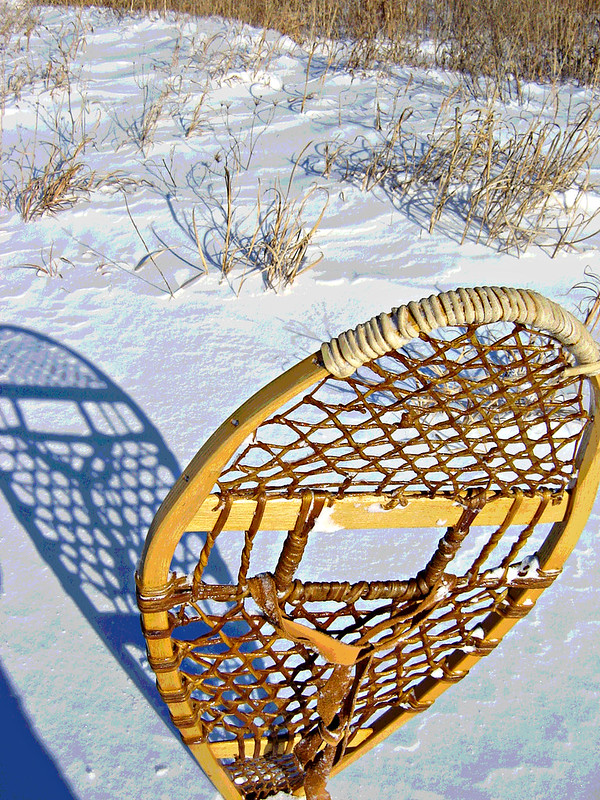 A single, handmade snowshoe propped into the snow.